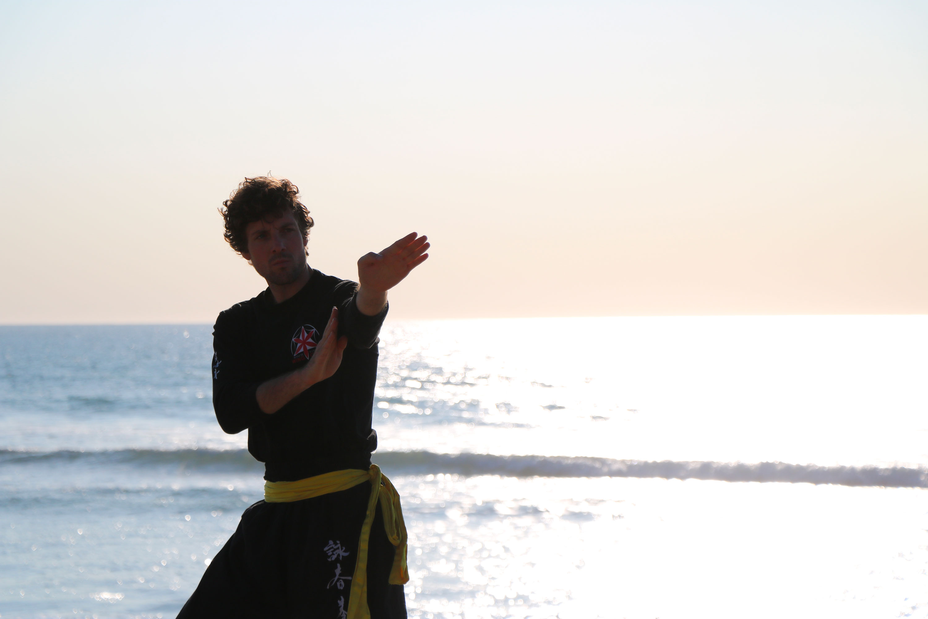 Stage de Wing Chun  à Avignon / Tous niveaux